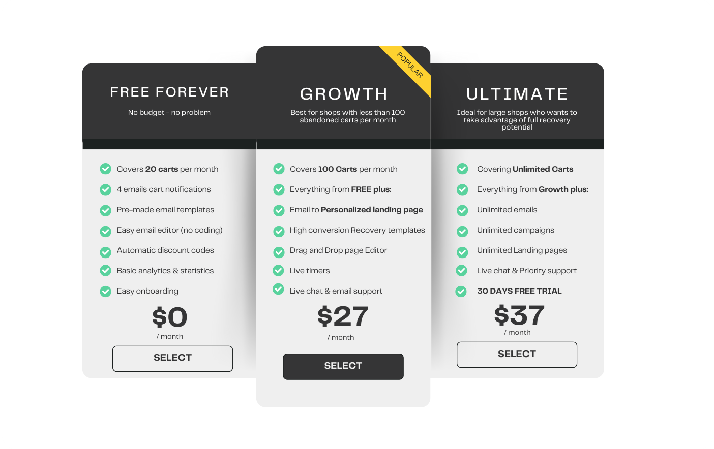 Subscription plan Monthly